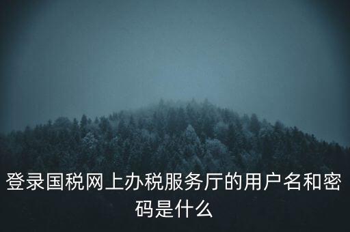 登錄國稅網(wǎng)上辦稅服務(wù)廳的用戶名和密碼是什么