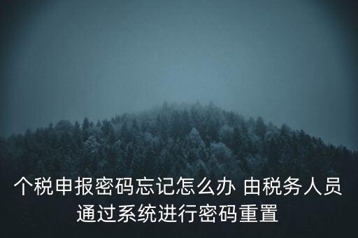 個稅申報密碼忘記怎么辦 由稅務(wù)人員通過系統(tǒng)進(jìn)行密碼重置