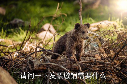 發(fā)票繳銷要需要帶什么，去國稅注銷發(fā)票需要帶什么呢