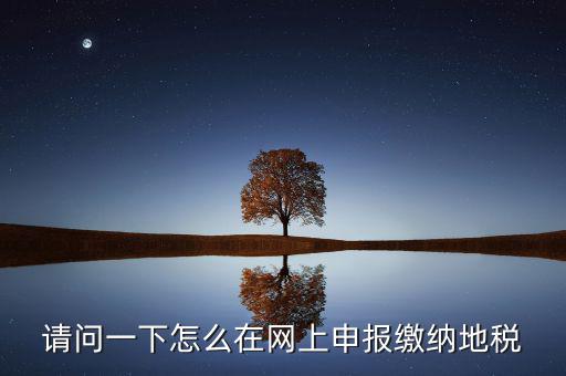 請(qǐng)問(wèn)一下怎么在網(wǎng)上申報(bào)繳納地稅