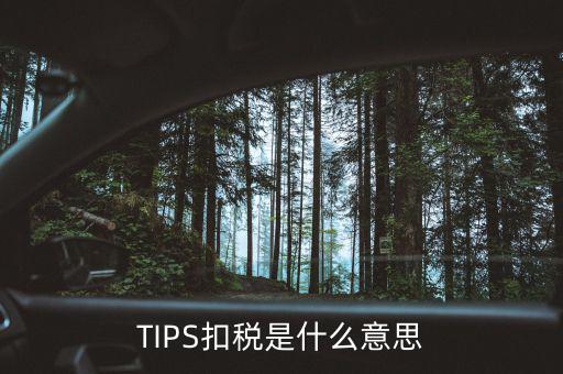 稅務(wù)tips是什么意思，tips扣稅是什么意思