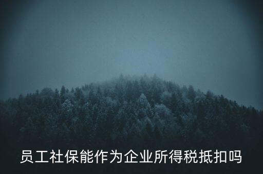 企業(yè)社?？梢缘质裁炊?，員工社保能作為企業(yè)所得稅抵扣嗎