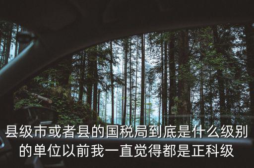 縣國稅局辦稅服務廳主任是什么級別，縣地稅局辦公室主任是什么行政級別