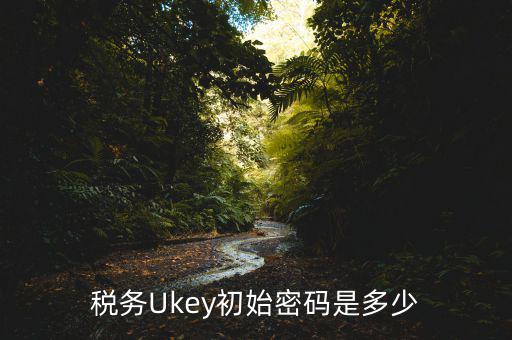 稅務(wù)Ukey初始密碼是多少