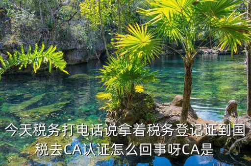 電子稅務(wù)局什么是ca登錄，網(wǎng)上報(bào)稅CA驗(yàn)證系統(tǒng)是甚么