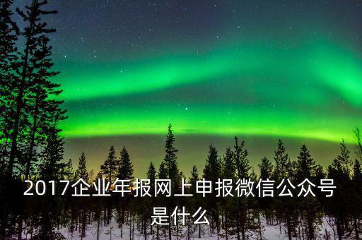 企業(yè)申報(bào)客戶端是什么意思，2017企業(yè)年報(bào)網(wǎng)上申報(bào)微信公眾號是什么