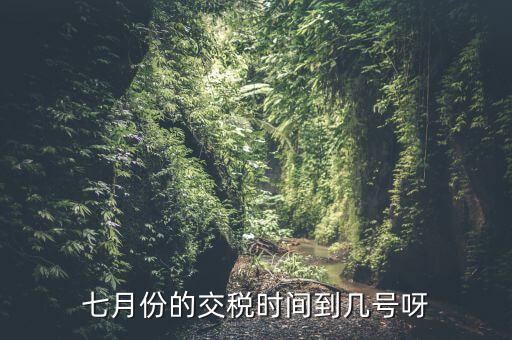 福建地稅7月報稅到什么時候，請問7月份國稅地稅的征期截止到哪天