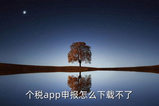 個(gè)稅app申報(bào)怎么下載不了