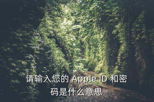 查詢個(gè)稅 密碼是輸入什么，請(qǐng)輸入您的 Apple ID 和密碼是什么意思