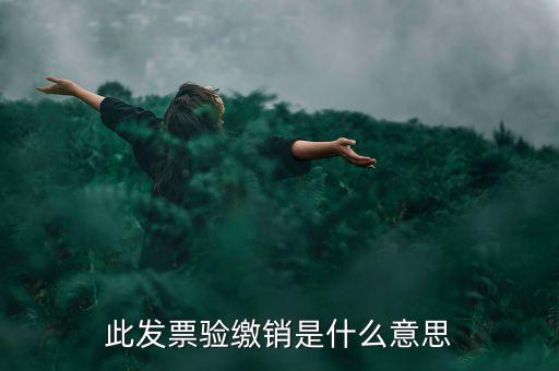 此發(fā)票驗(yàn)繳銷是什么意思