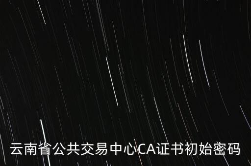 ca證書的原始密碼是什么意思，云南省公共交易中心CA證書初始密碼