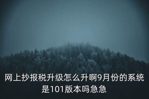 網(wǎng)上抄報稅升級怎么升啊9月份的系統(tǒng)是101版本嗎急急