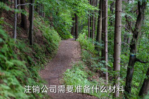 公司注銷帶什么資料嗎，公司銷戶要帶什么資料