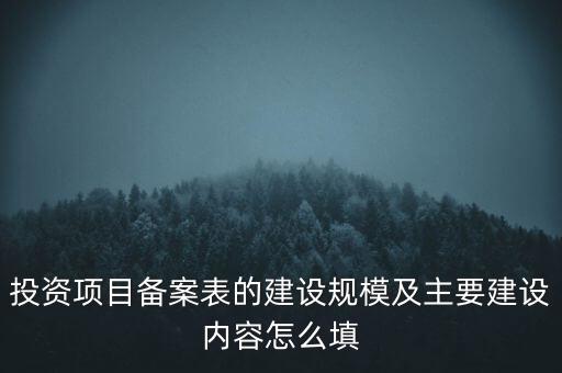 投資項(xiàng)目備案表的建設(shè)規(guī)模及主要建設(shè)內(nèi)容怎么填