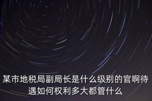 某市地稅局副局長是什么級(jí)別的官啊待遇如何權(quán)利多大都管什么