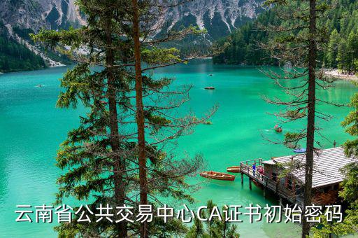 ca證書的原始密碼是什么，云南省公共交易中心CA證書初始密碼