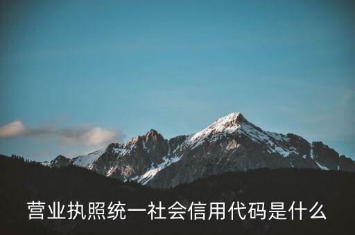 營(yíng)業(yè)執(zhí)照統(tǒng)一社會(huì)信用代碼是什么