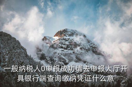 繳稅憑證是什么意思，申報成功請到申報大廳開具銀行端查詢繳稅憑證什么意思呀