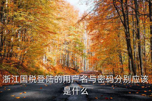 浙江國(guó)稅登陸的用戶(hù)名與密碼分別應(yīng)該是什么