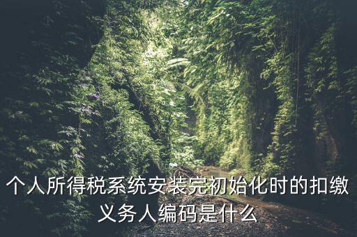 個人所得稅系統(tǒng)安裝完初始化時的扣繳義務人編碼是什么