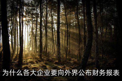 為什么要報送財務(wù)報表，為什么要編財務(wù)報表