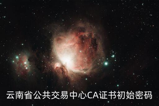 云南省公共交易中心CA證書(shū)初始密碼