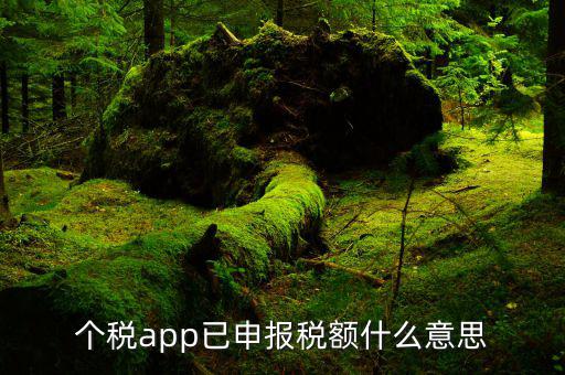 個(gè)稅app已申報(bào)稅額什么意思