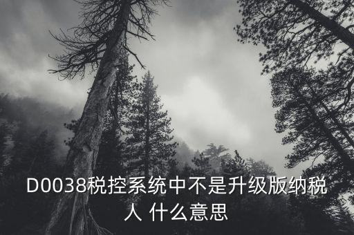 D0038稅控系統(tǒng)中不是升級(jí)版納稅人 什么意思