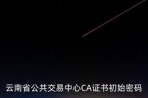 ca原始密碼登錄是什么，蘇州投標(biāo)ca初始密碼