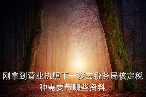 剛拿到營(yíng)業(yè)執(zhí)照下一步去稅務(wù)局核定稅種需要帶哪些資料