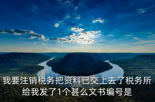 我要注銷(xiāo)稅務(wù)把資料已交上去了稅務(wù)所給我發(fā)了1個(gè)甚么文書(shū)編號(hào)是