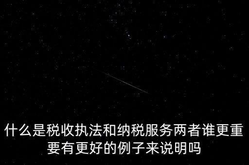 什么是稅收?qǐng)?zhí)法和納稅服務(wù)兩者誰更重要有更好的例子來說明嗎