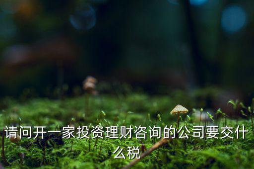 請(qǐng)問(wèn)開(kāi)一家投資理財(cái)咨詢的公司要交什么稅