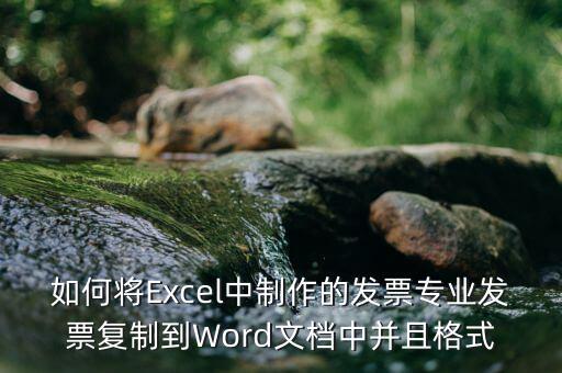 如何將Excel中制作的發(fā)票專業(yè)發(fā)票復制到Word文檔中并且格式