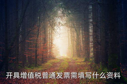 開具增值稅普通發(fā)票需填寫什么資料