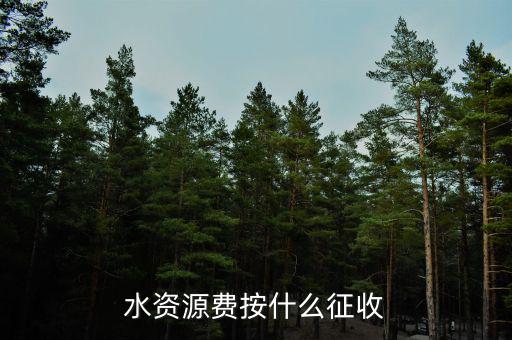 水資源稅實行什么征收，水資源費(fèi)按什么征收