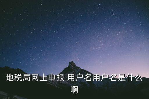 地稅局網(wǎng)上申報 用戶名用戶名是什么啊