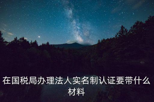 服務(wù)廳實(shí)名辦稅要帶什么，服務(wù)業(yè)辦稅務(wù)登記要些什么證件