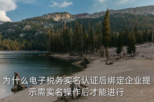 為什么電子稅務(wù)實名認證后綁定企業(yè)提示需實名操作后才能進行