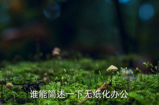 誰能簡(jiǎn)述一下無紙化辦公