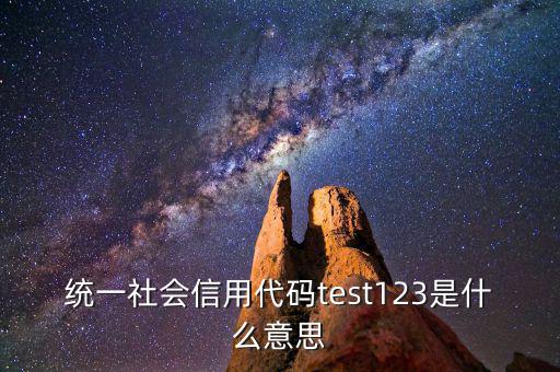 統(tǒng)一社會(huì)信用代碼test123是什么意思