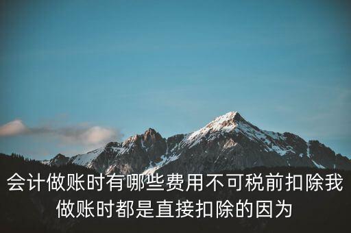 什么不可以稅前扣除嗎，納稅人哪些支出不能在企業(yè)所得稅前扣除