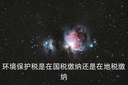 什么是環(huán)境保護稅納稅人，環(huán)境稅是什么意思