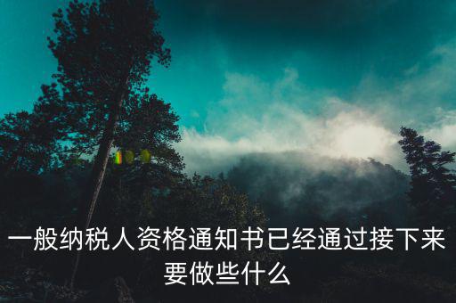 一般納稅人資格通知書(shū)已經(jīng)通過(guò)接下來(lái)要做些什么