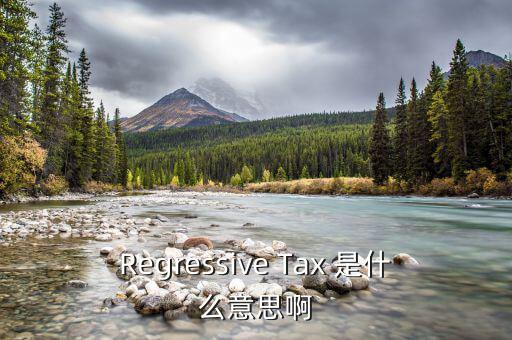 什么是稅收穿透，passthrough taxation是什么意思是直接繳稅嘛