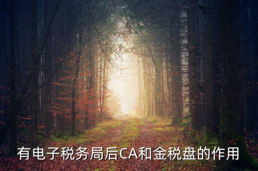 電子稅務(wù)局有什么用，有電子稅務(wù)局后CA和金稅盤的作用