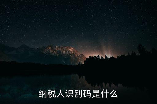 網(wǎng)上報稅納稅人識別碼是什么，納稅人識別碼是什么