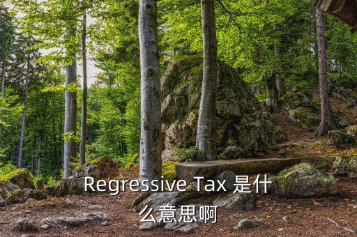 Regressive Tax 是什么意思啊