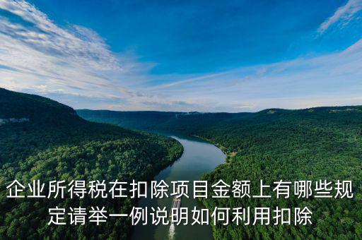 扣除項目金額是什么，應稅服務扣除項目清單中允許扣除項目金額指的是什么是總