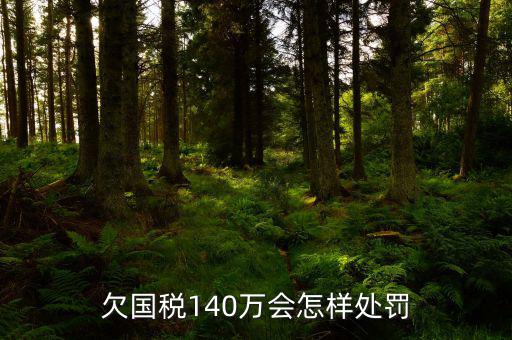 欠國(guó)稅140萬(wàn)會(huì)怎樣處罰